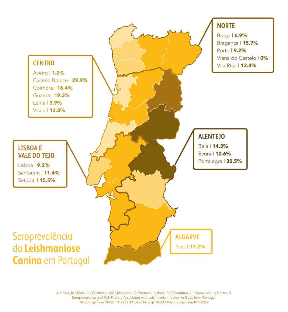 Mapa Político de Portugal: Zona Norte